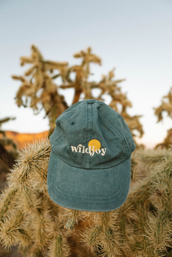 Classic Wildjoy Dad Hat